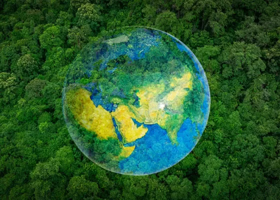 Portata globale: