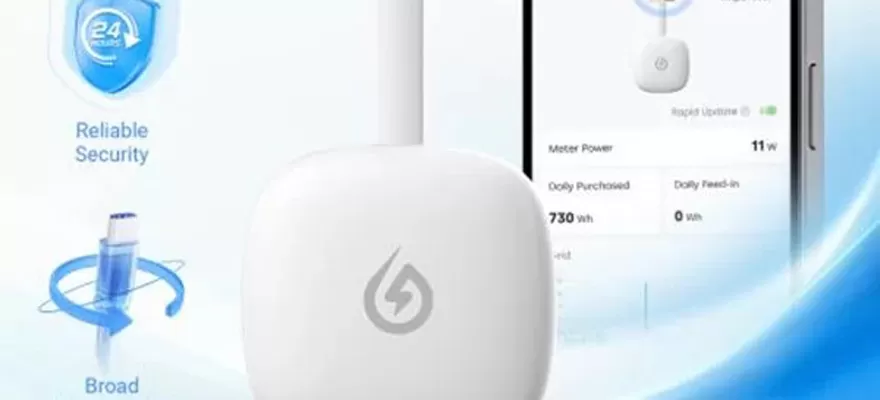 Smart insight, Smart Power: SOLARMAN P1 trasforma i dati energetici in un'intelligenza Actionable.